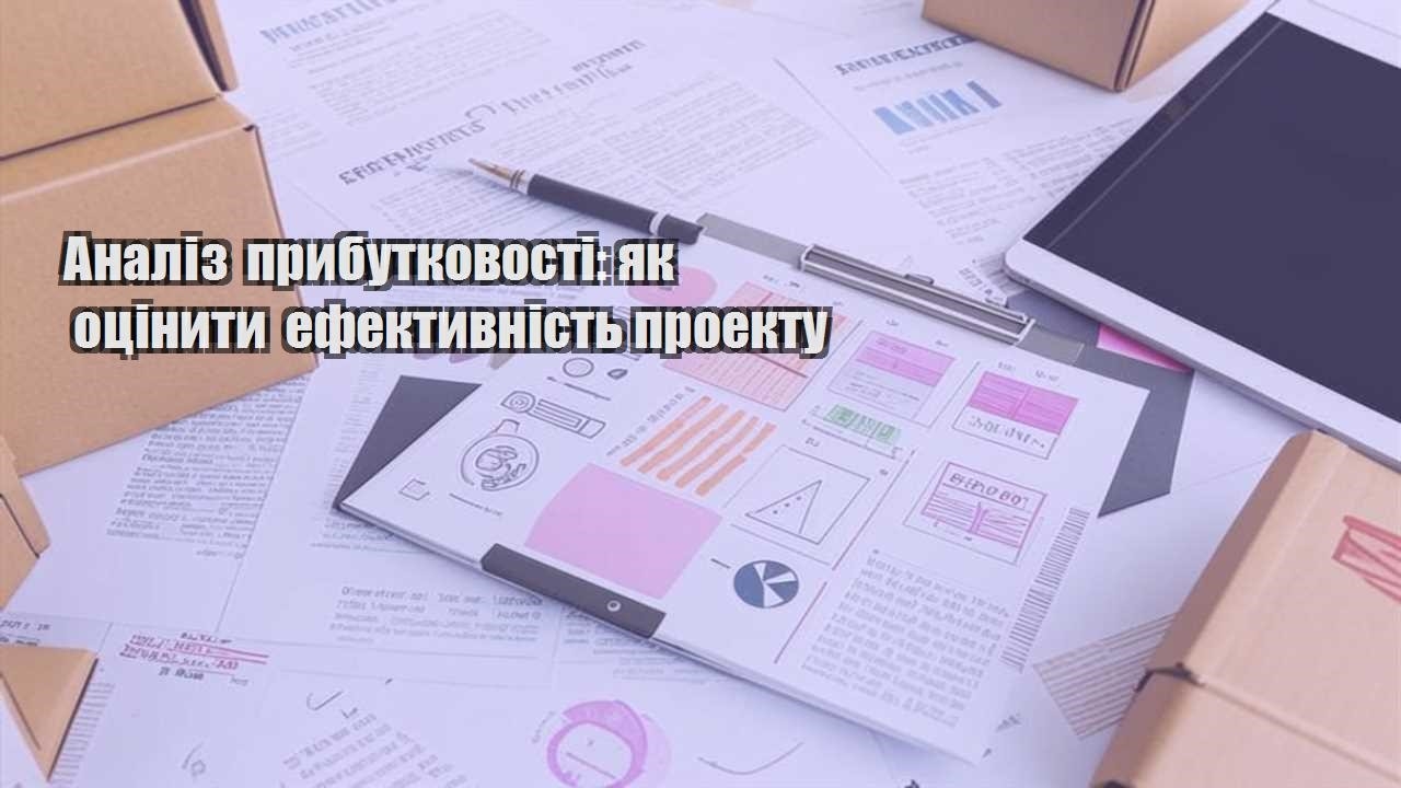 analiz prybutkovosti yak oczinyty efektyvnist proektu