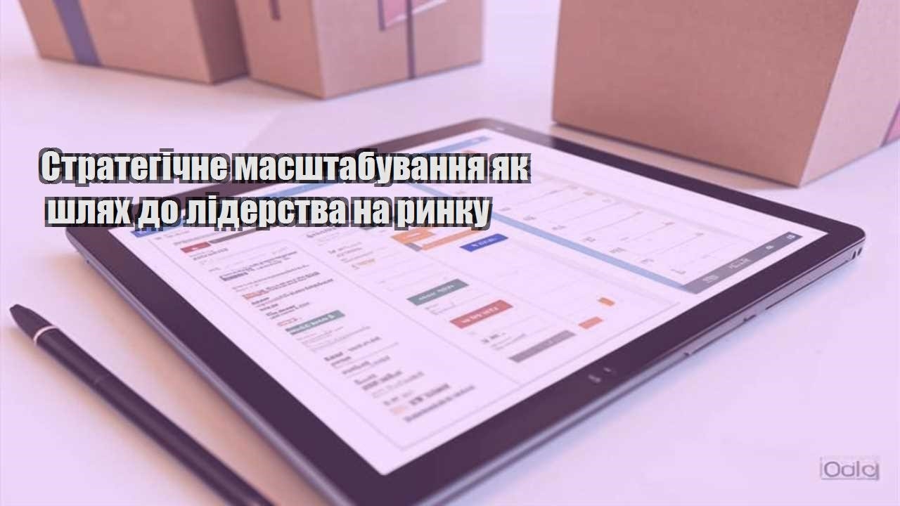strategichne masshtabuvannya yak shlyah do liderstva na rynku