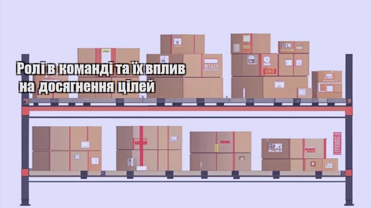 roli v komandi ta yih vplyv na dosyagnennya czilej
