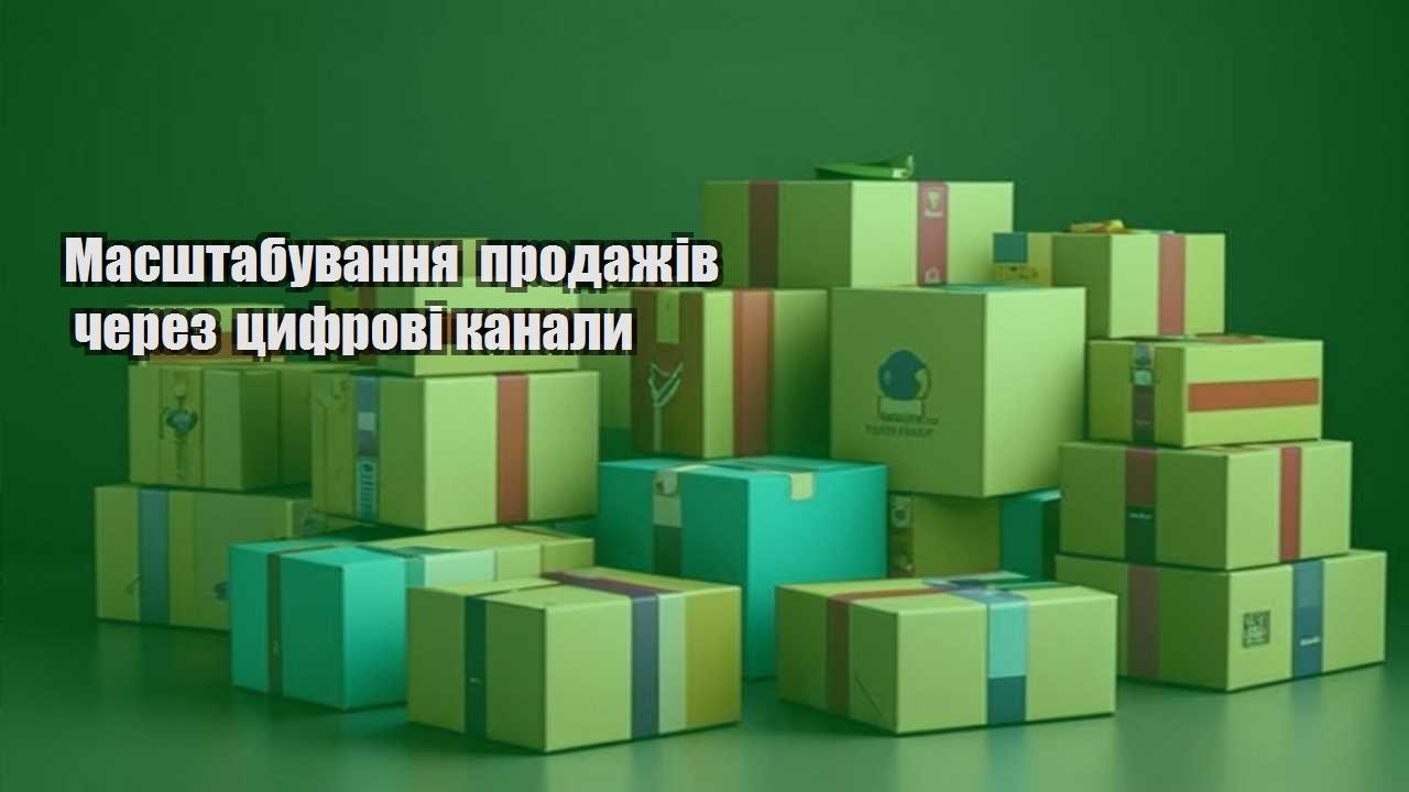 masshtabuvannya prodazhiv cherez czyfrovi kanaly