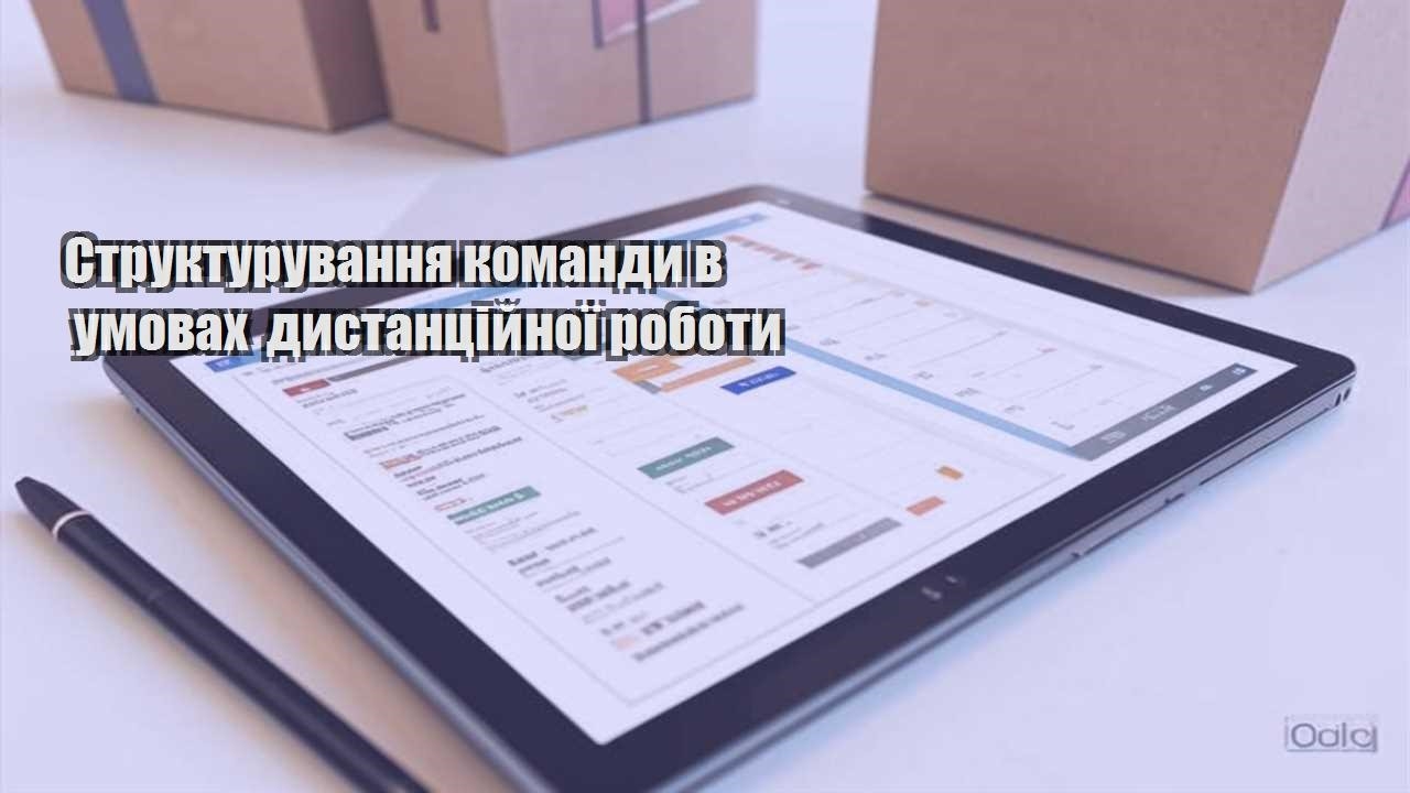 strukturuvannya komandy v umovah dystanczijnoyi roboty