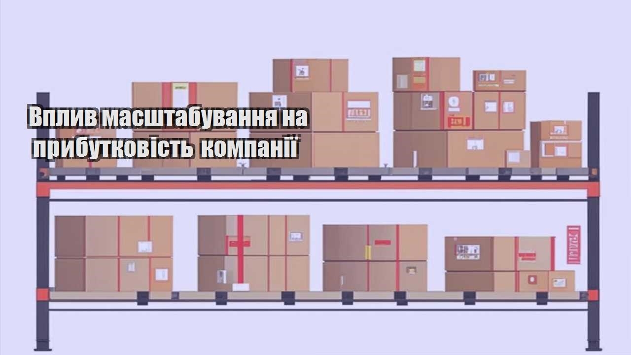 vplyv masshtabuvannya na prybutkovist kompaniyi