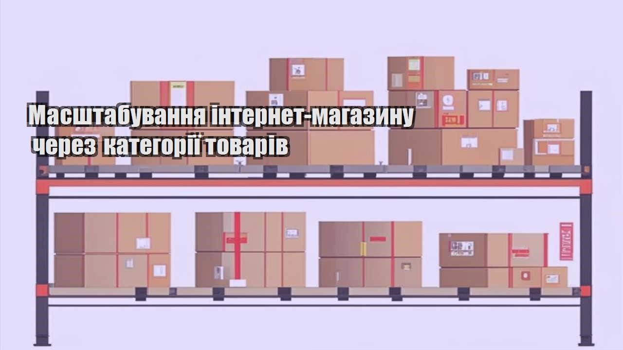 masshtabuvannya internet magazynu cherez kategoriyi tovariv